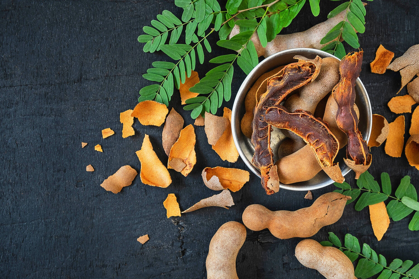 Sweet Tamarind (Tamarindus indica)