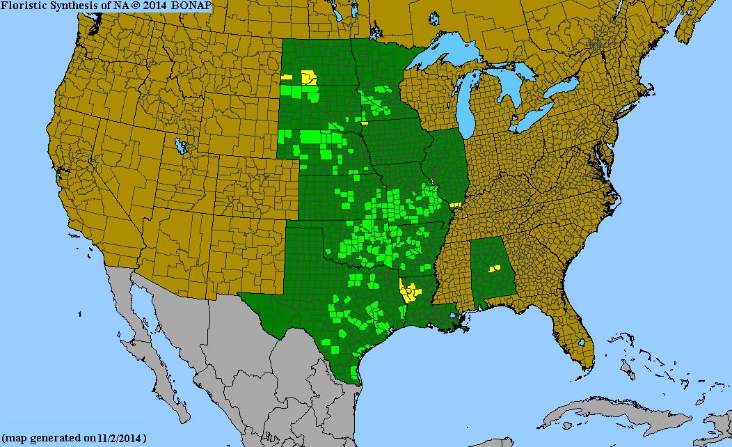 A map of the United States showing a floristic synthesis area with green and yellow highlighted regions over central and southern Texas, Oklahoma, Arkansas, Missouri, and adjacent areas, on a light blue ocean background.