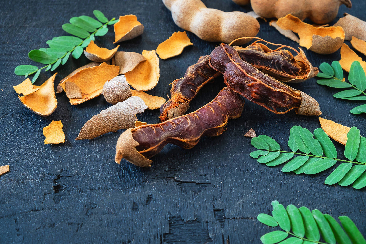 Sweet Tamarind (Tamarindus indica)